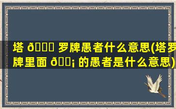 塔 🕊 罗牌愚者什么意思(塔罗牌里面 🐡 的愚者是什么意思)